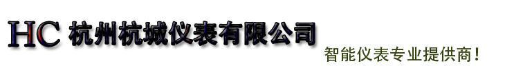 杭州杭城仪表有限公司